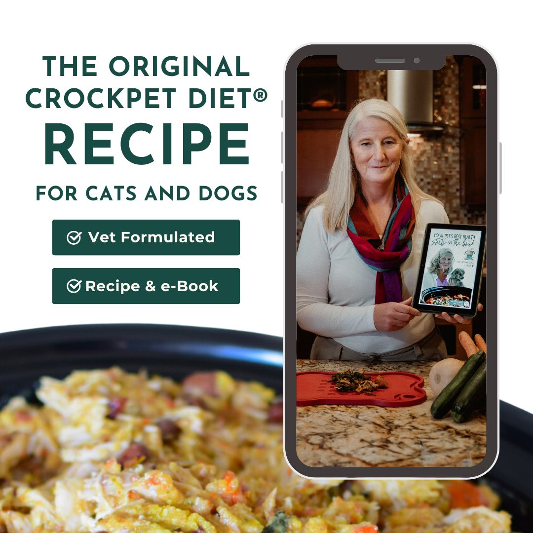 How to feed your dog a holistic diet 2026 — Dr. Ruth Roberts at Zendzy