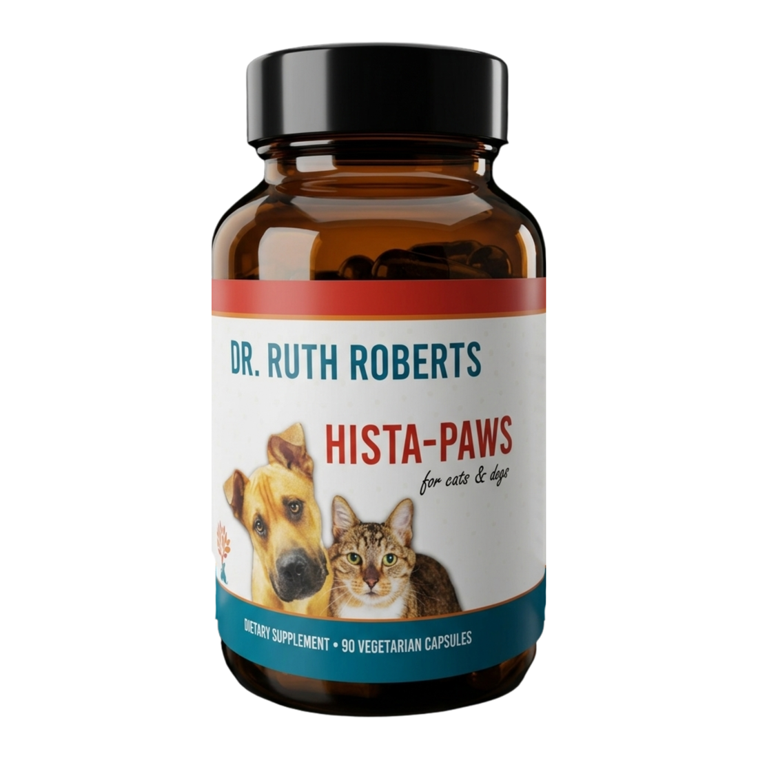 Natural allergy relief for dogs and cats 2026 — Dr. Ruth Roberts at Zendzy
