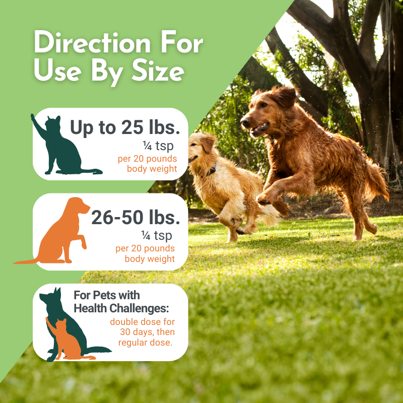Holistic Total Body Support — Daily Multivitamin & Glandular Supplement for Dogs & Cats | Dr. Ruth Roberts
