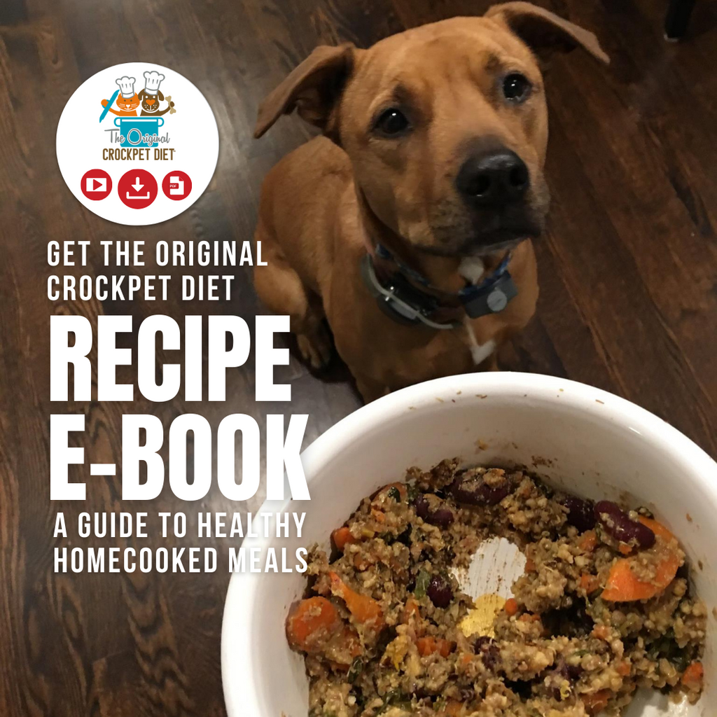 The Original CrockPET Diet™ — Ebook & Recipe Course for Dogs & Cats | Dr. Ruth Roberts