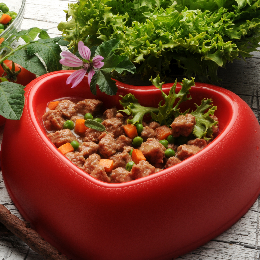 The Original CrockPET Diet™ — Ebook & Recipe Course for Dogs & Cats | Dr. Ruth Roberts
