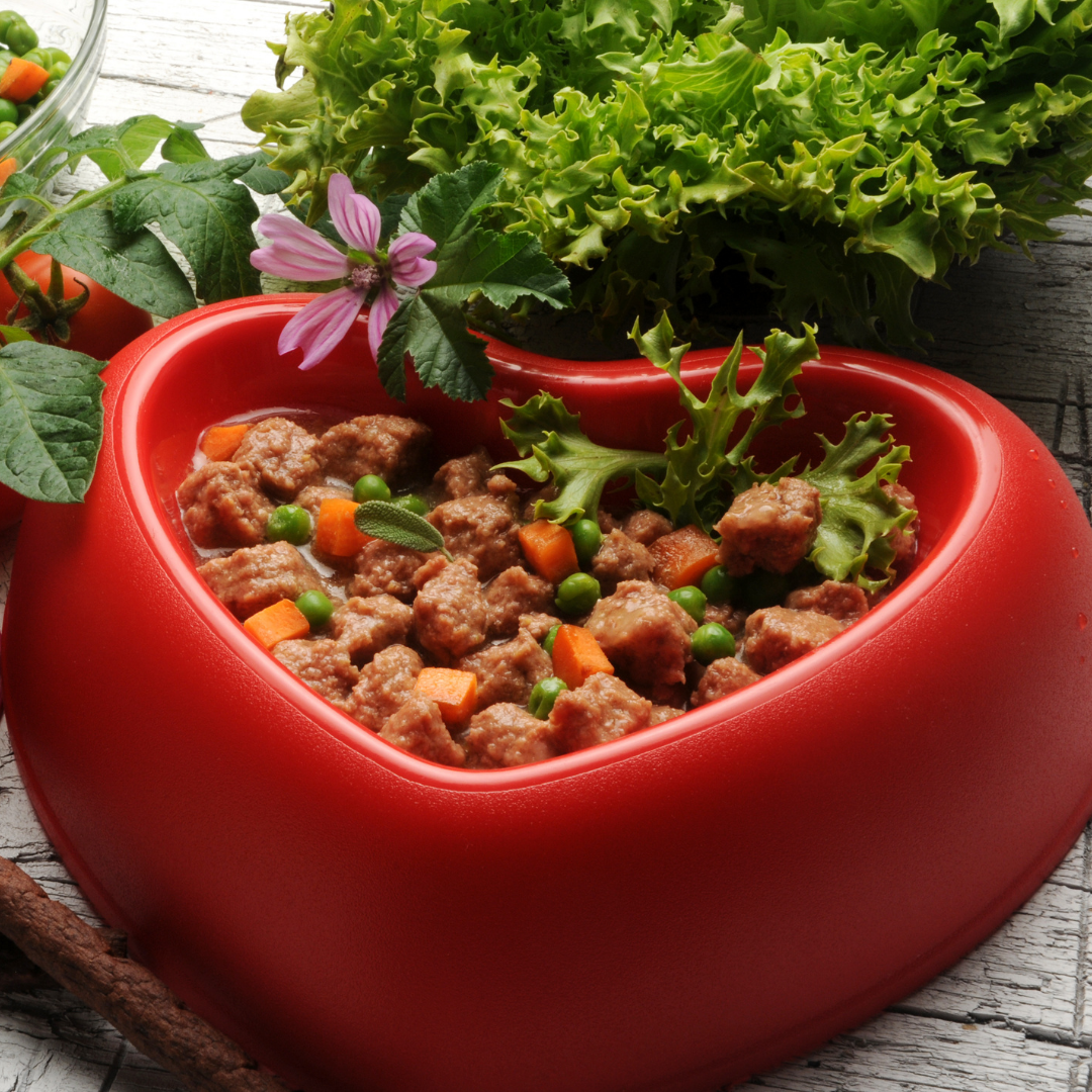 The Original CrockPET Diet™ — Ebook & Recipe Course for Dogs & Cats | Dr. Ruth Roberts