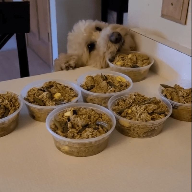 The Original CrockPET Diet™ — Ebook & Recipe Course for Dogs & Cats | Dr. Ruth Roberts
