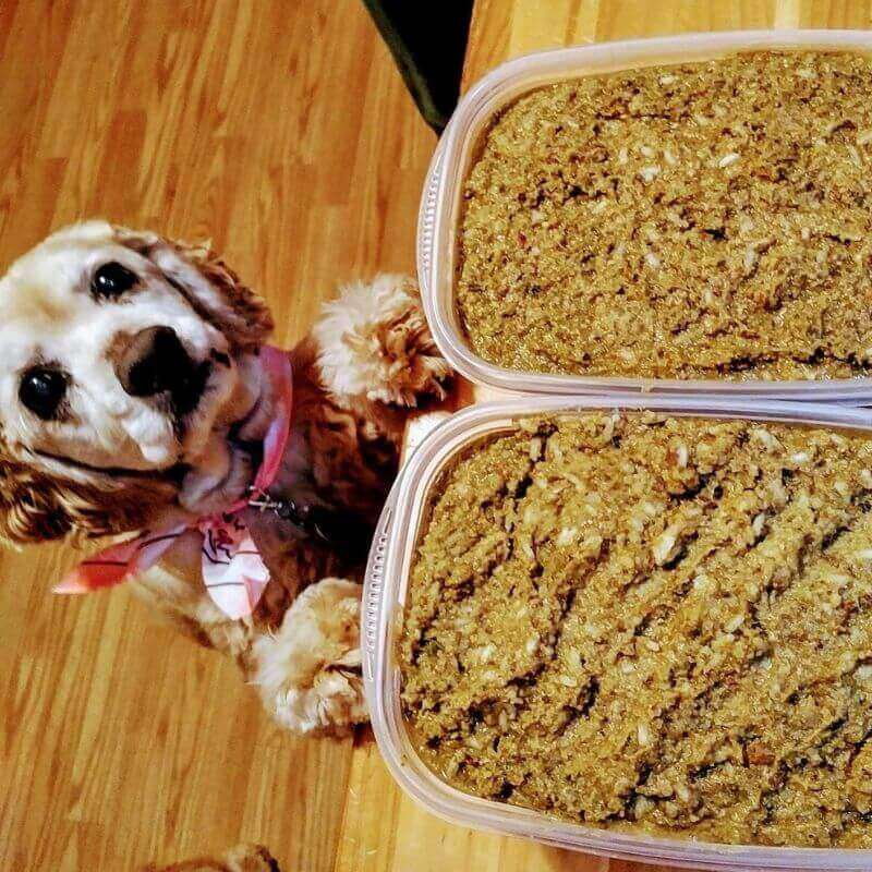 The Original CrockPET Diet™ — Ebook & Recipe Course for Dogs & Cats | Dr. Ruth Roberts