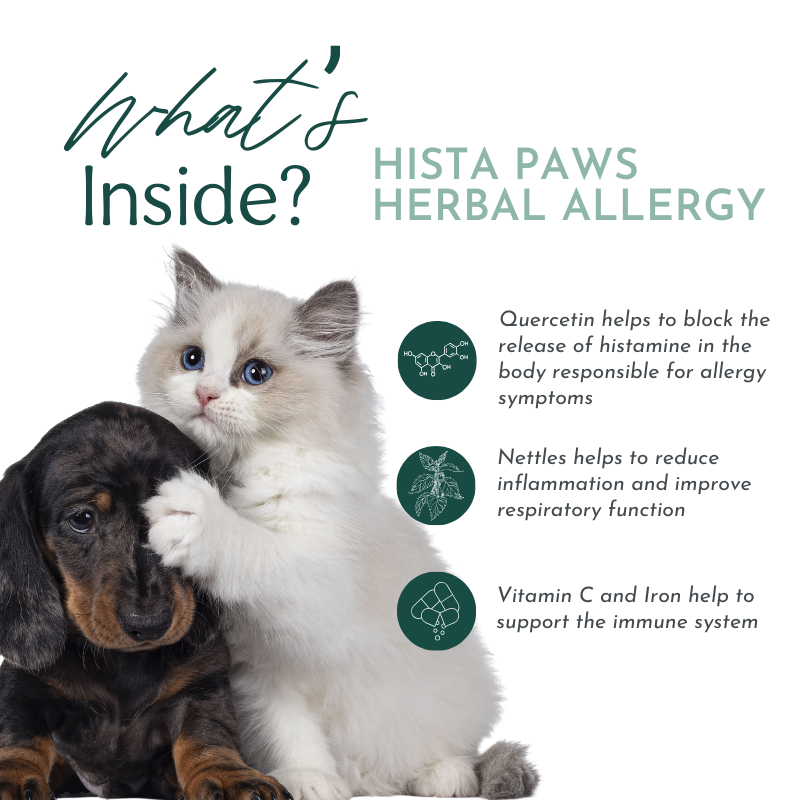 Hista Paws — Plant-Based Quercetin & Nettles Formula for Dogs & Cats | Dr. Ruth Roberts