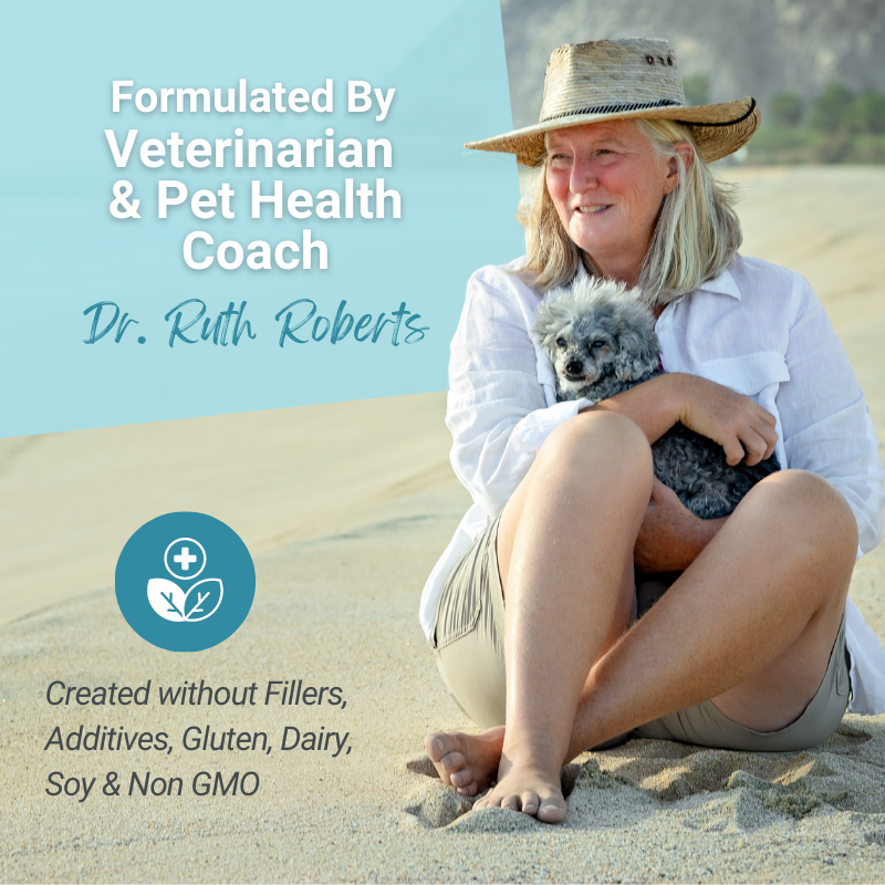 Hista Paws — Plant-Based Quercetin & Nettles Formula for Dogs & Cats | Dr. Ruth Roberts