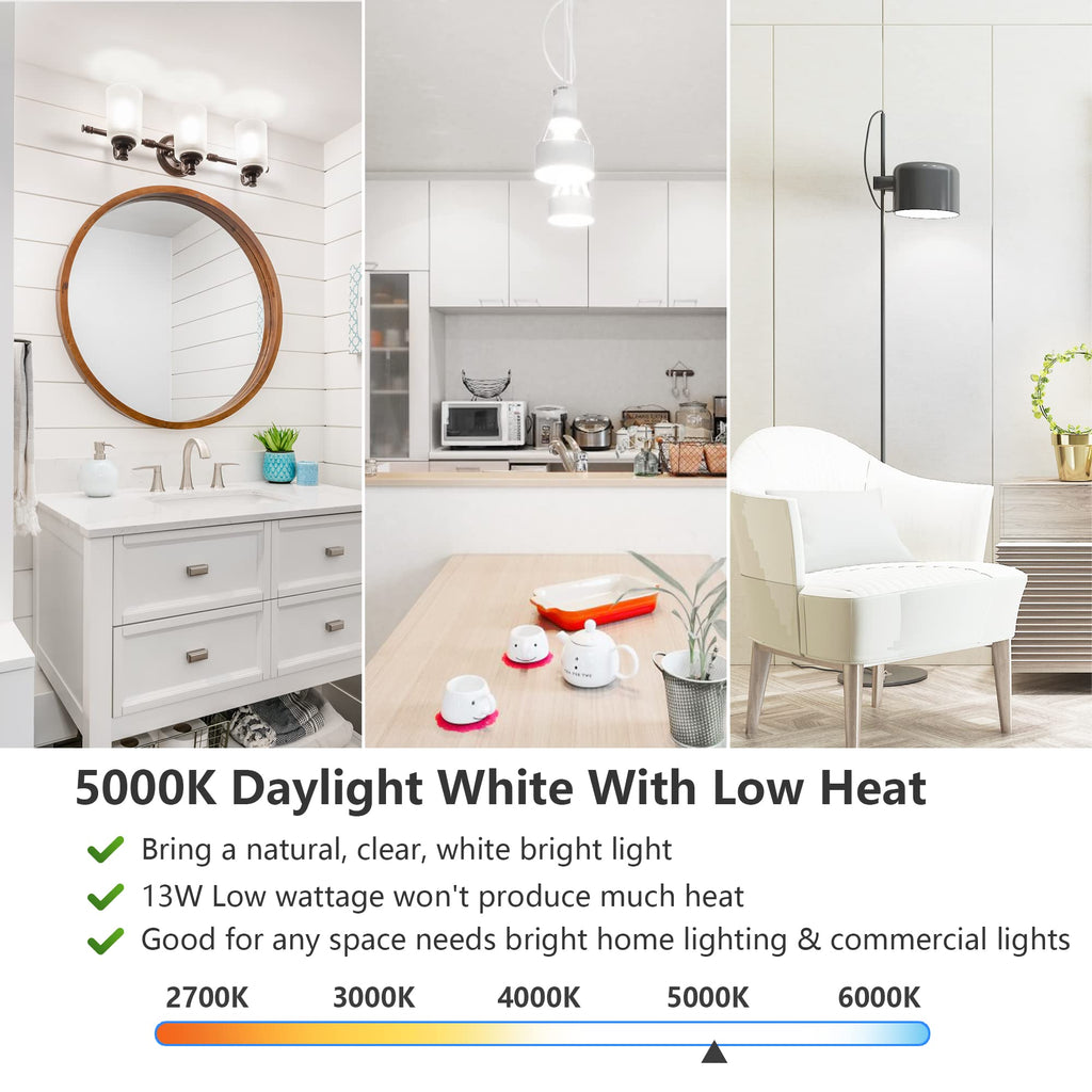Led Light Bulbs, 100 Watt Equivalent Led Bulbs, Daylight White 5000K, 1500Lm, E2