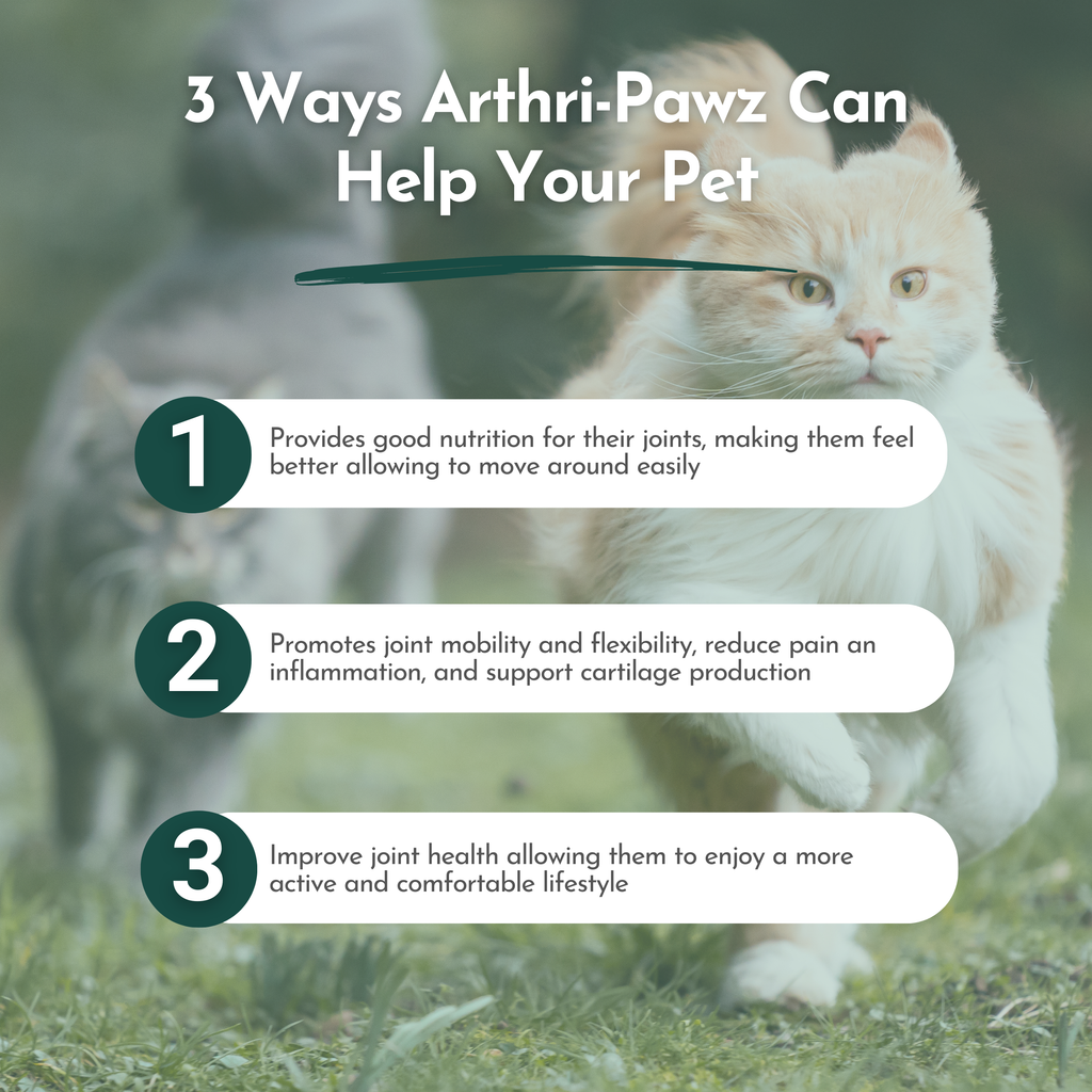 Arthri-Pawz — Glucosamine, MSM, Green-Lipped Mussel & UC-II Collagen for Dogs & Cats | Dr. Ruth Roberts