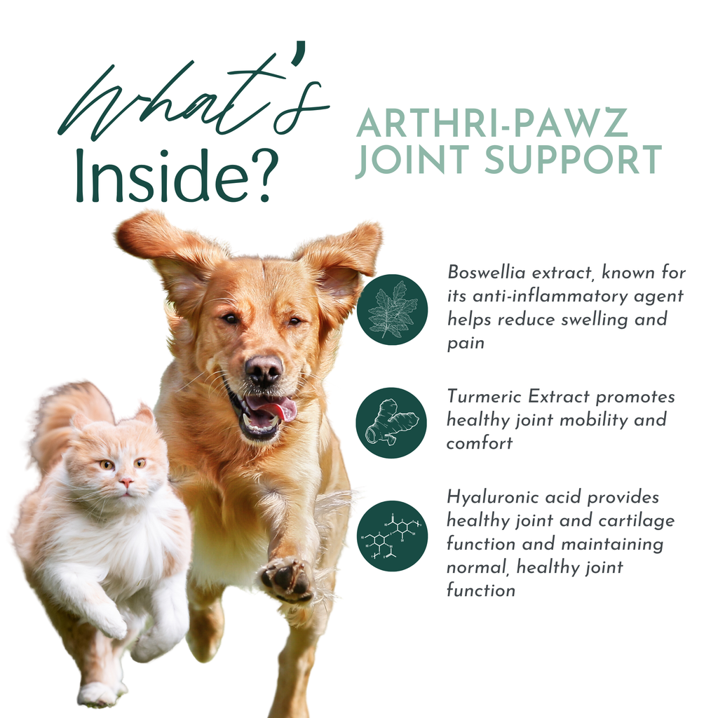 Arthri-Pawz — Glucosamine, MSM, Green-Lipped Mussel & UC-II Collagen for Dogs & Cats | Dr. Ruth Roberts