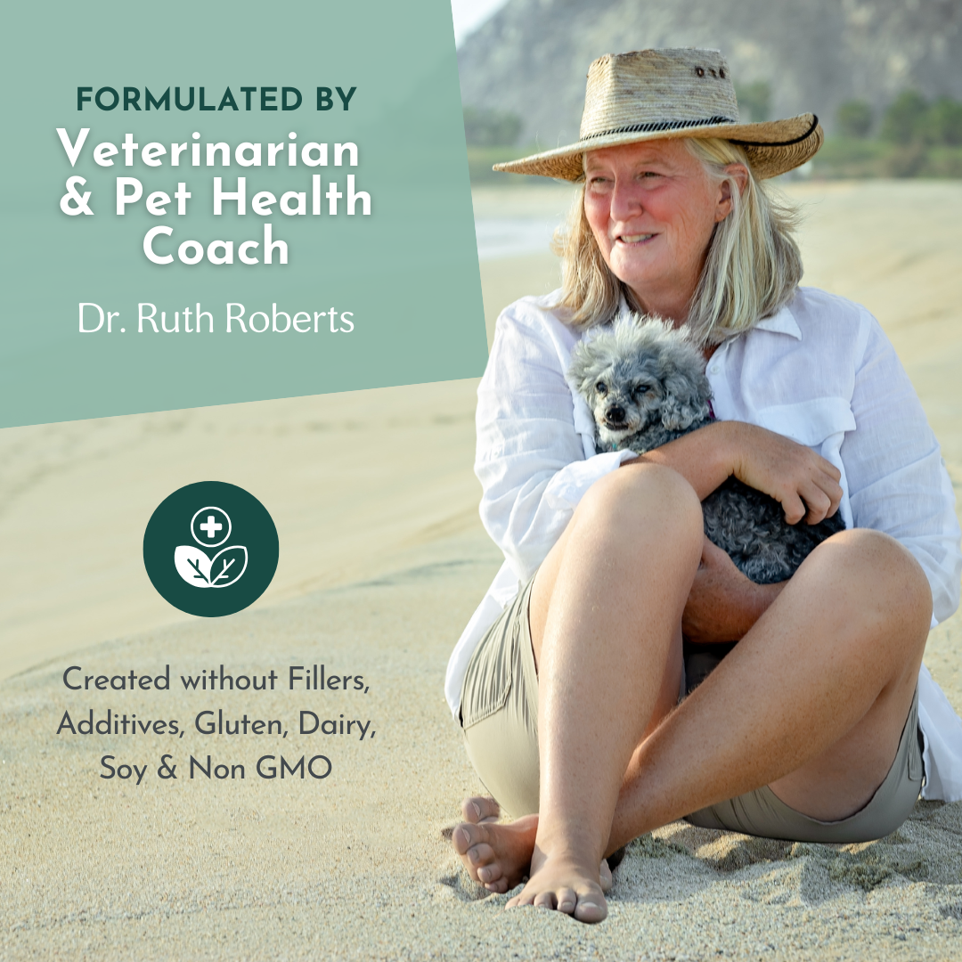 The Original CrockPET Diet™ — Ebook & Recipe Course for Dogs & Cats | Dr. Ruth Roberts