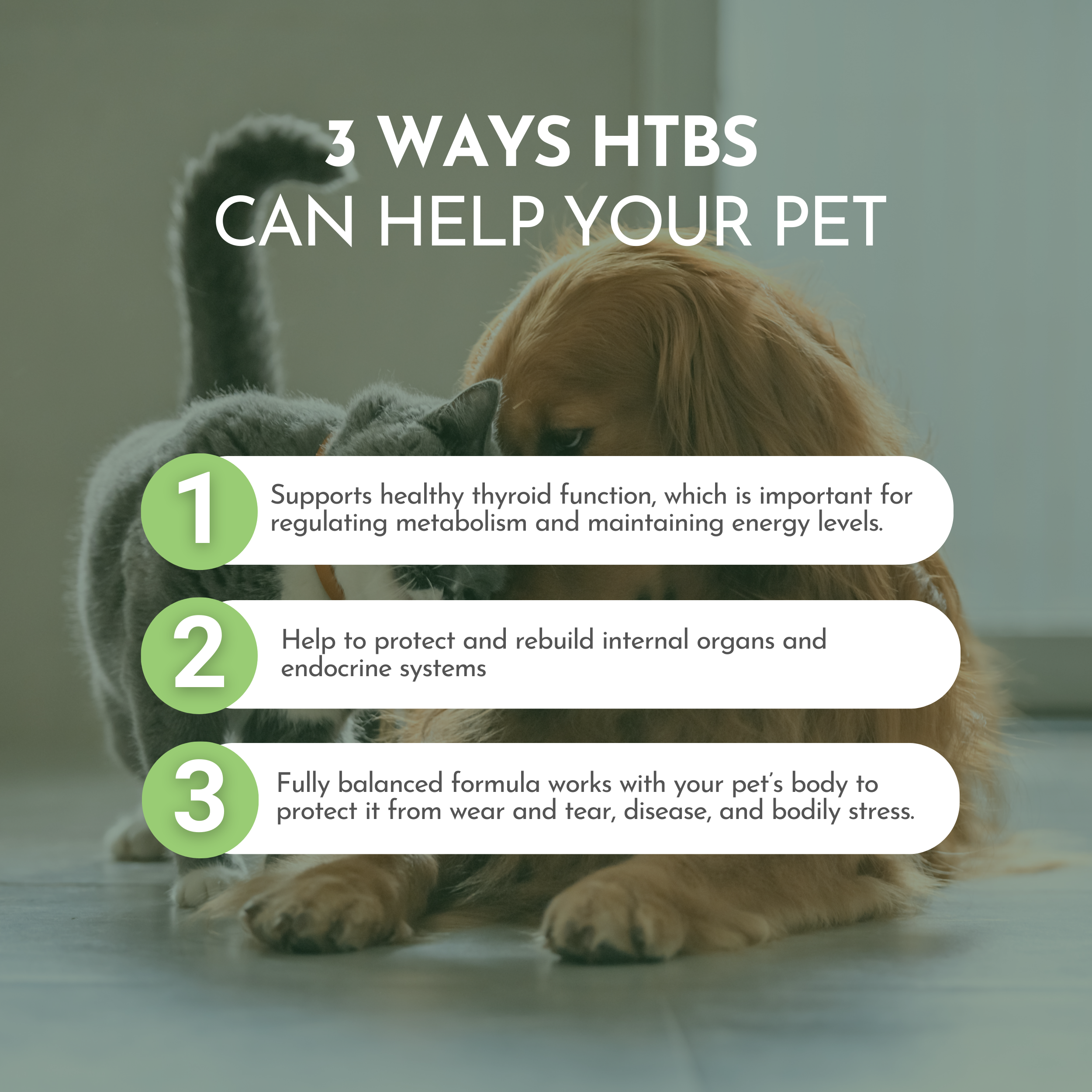 Holistic Total Body Support — Daily Multivitamin & Glandular Supplement for Dogs & Cats | Dr. Ruth Roberts