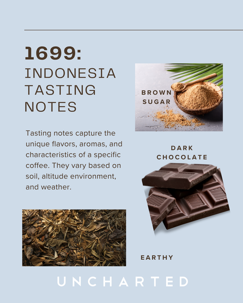 1699:  Indonesia