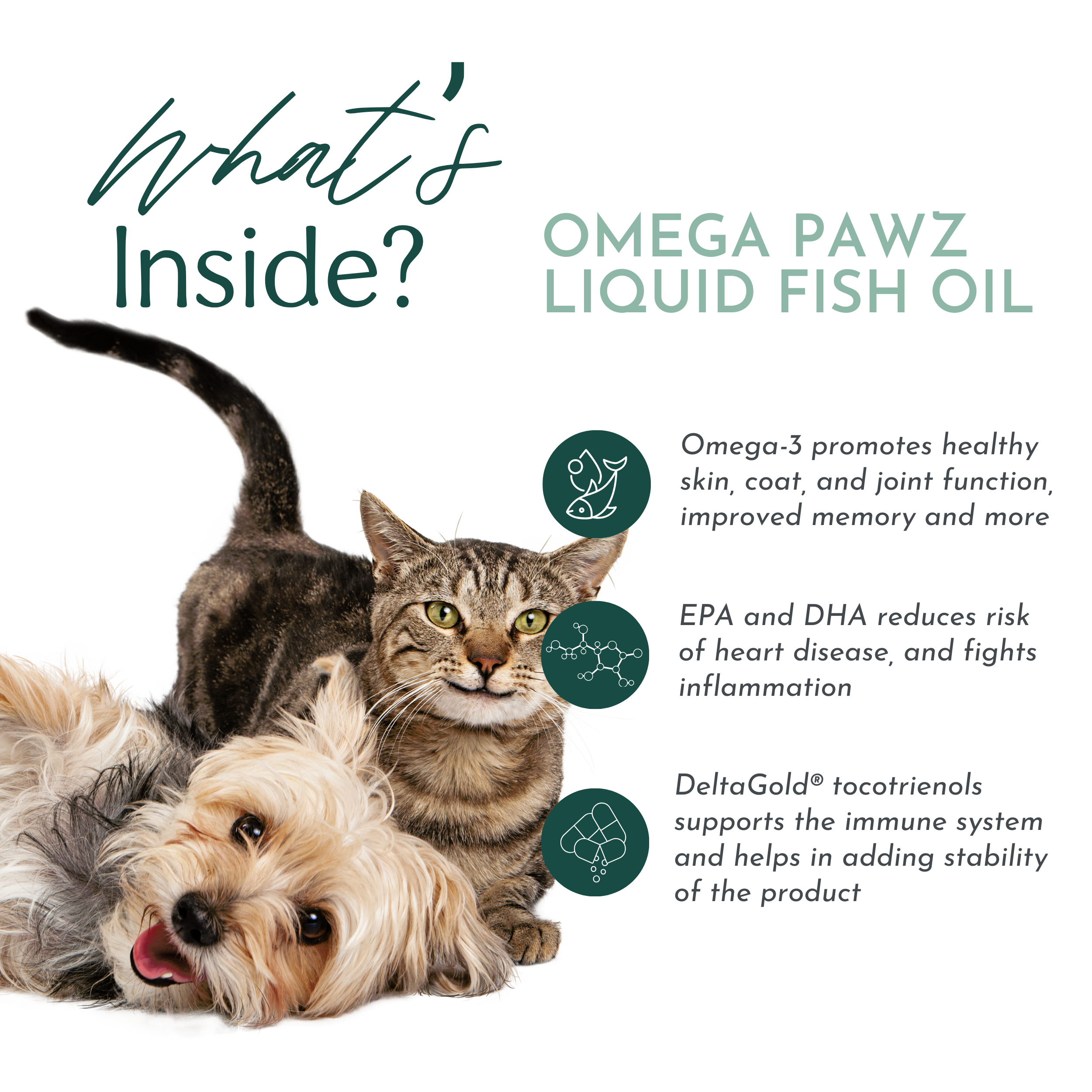Omega Pawz — Liquid Omega-3 Fish Oil with EPA & DHA for Dogs & Cats | Dr. Ruth Roberts