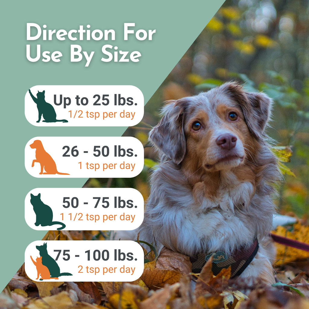 Omega Pawz — Liquid Omega-3 Fish Oil with EPA & DHA for Dogs & Cats | Dr. Ruth Roberts