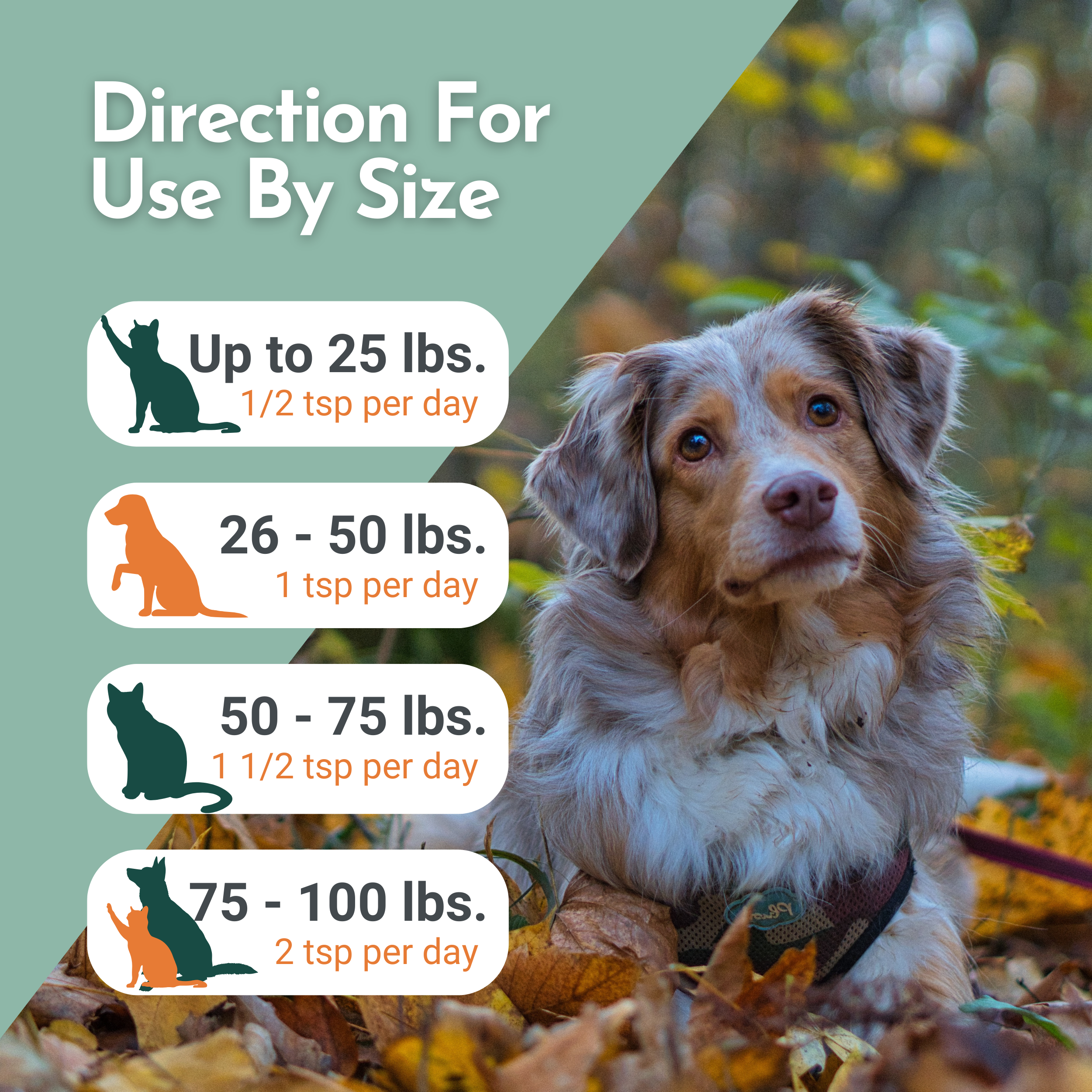 Omega Pawz — Liquid Omega-3 Fish Oil with EPA & DHA for Dogs & Cats | Dr. Ruth Roberts