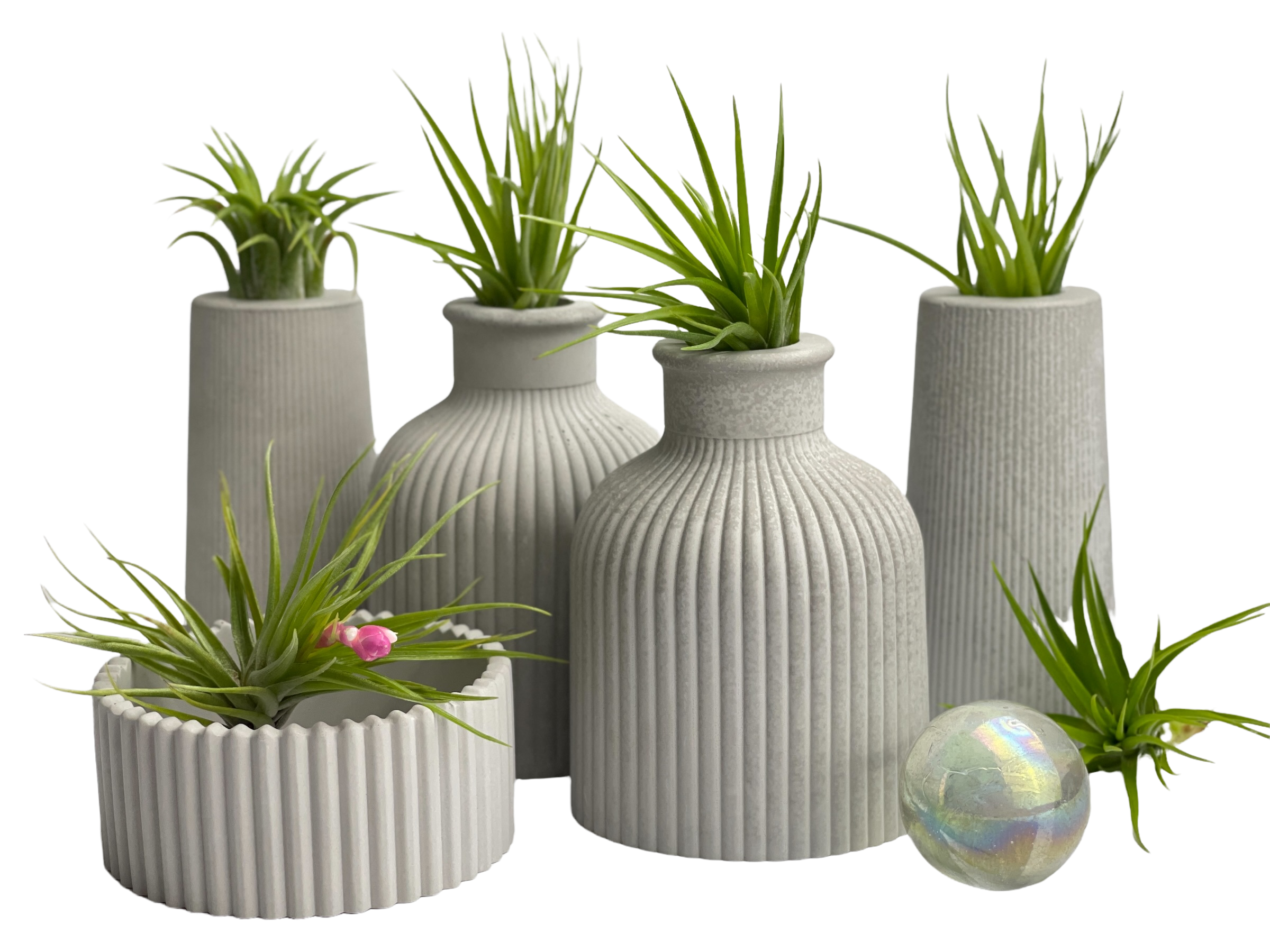 SKINNY MINI VASE | AIR PLANT HOLDER