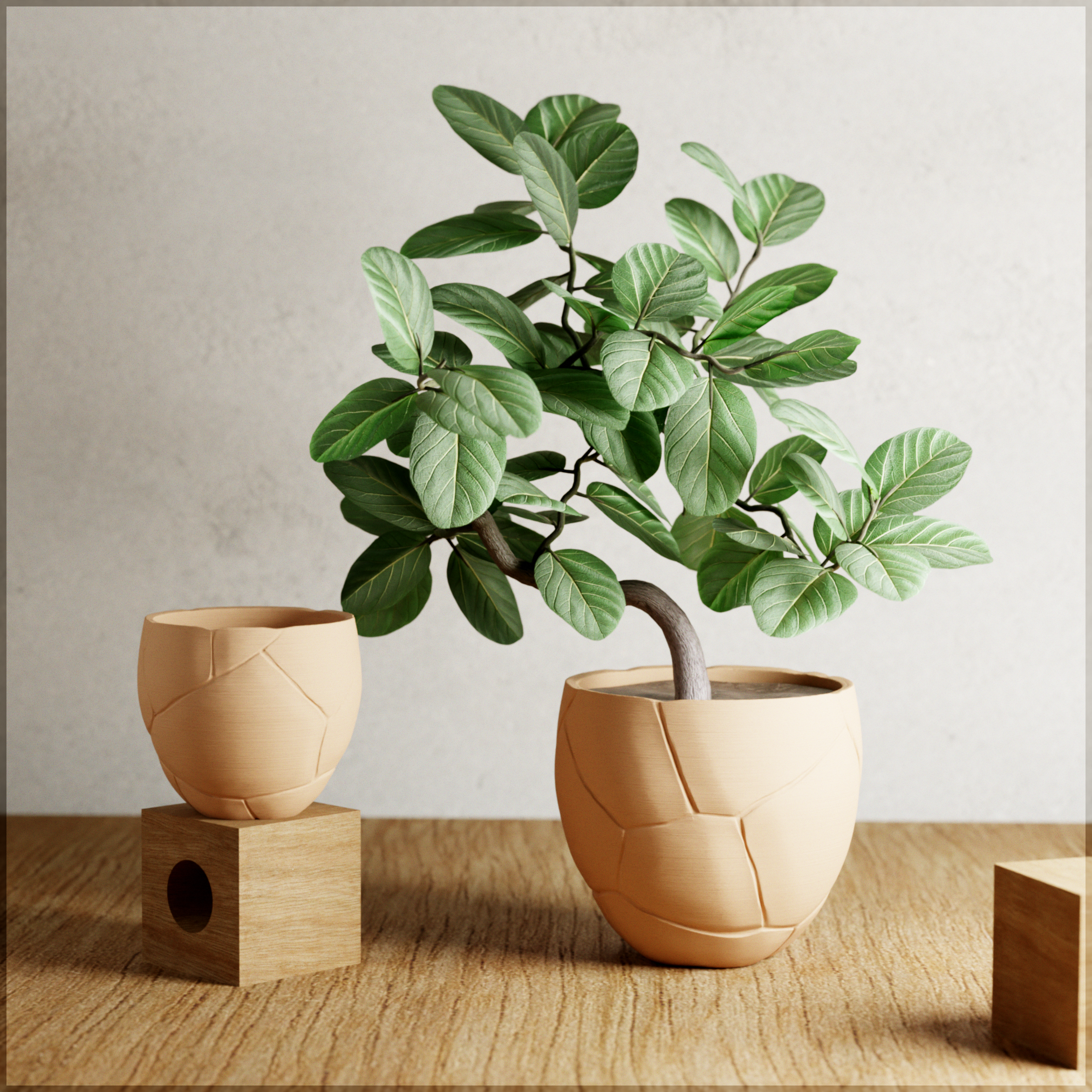 QUAKE Planter