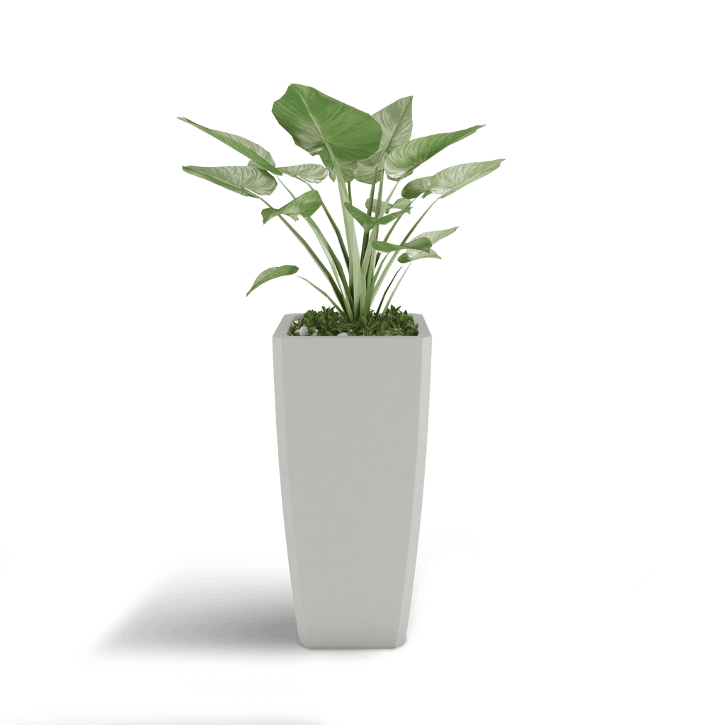Quartet Planter