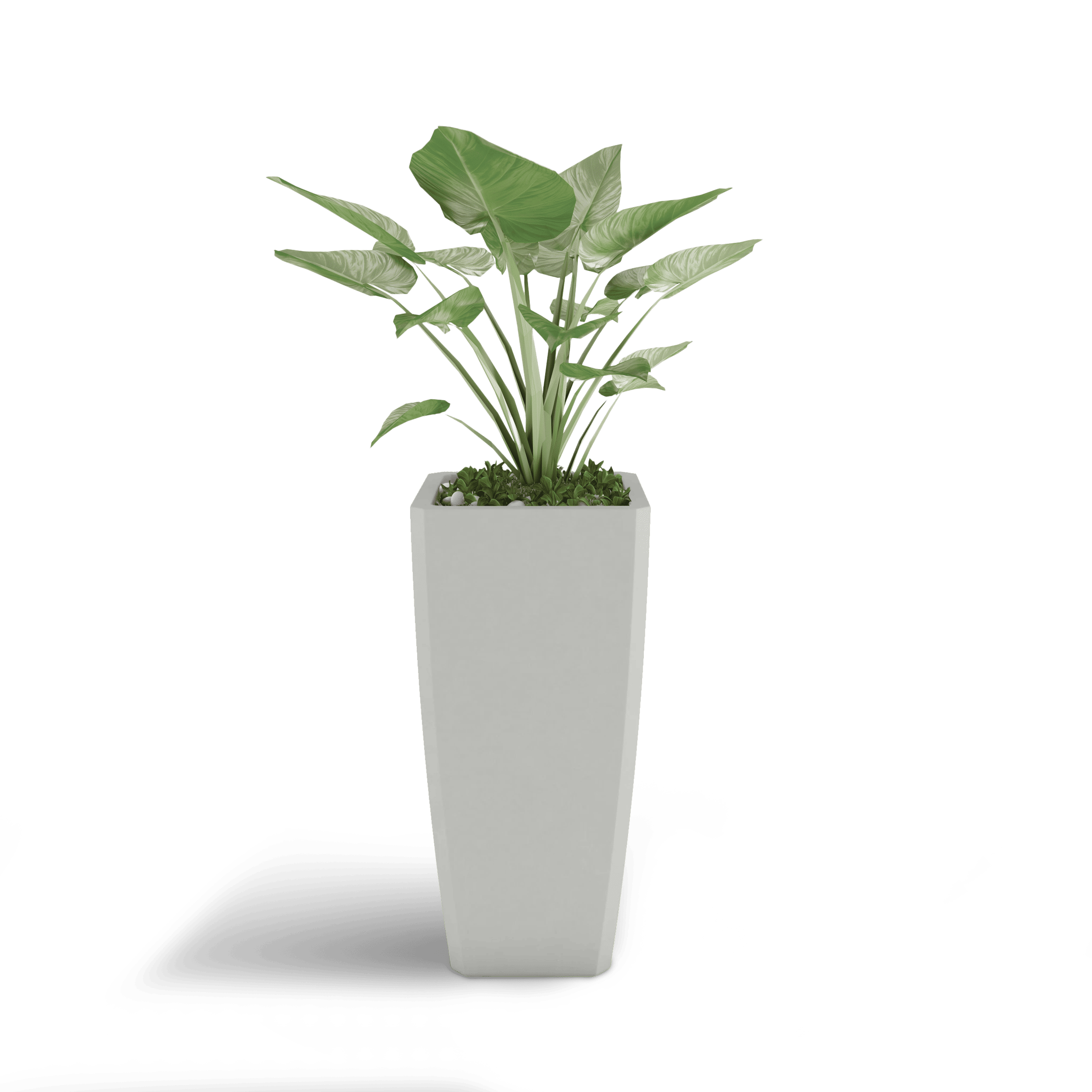 Quartet Planter