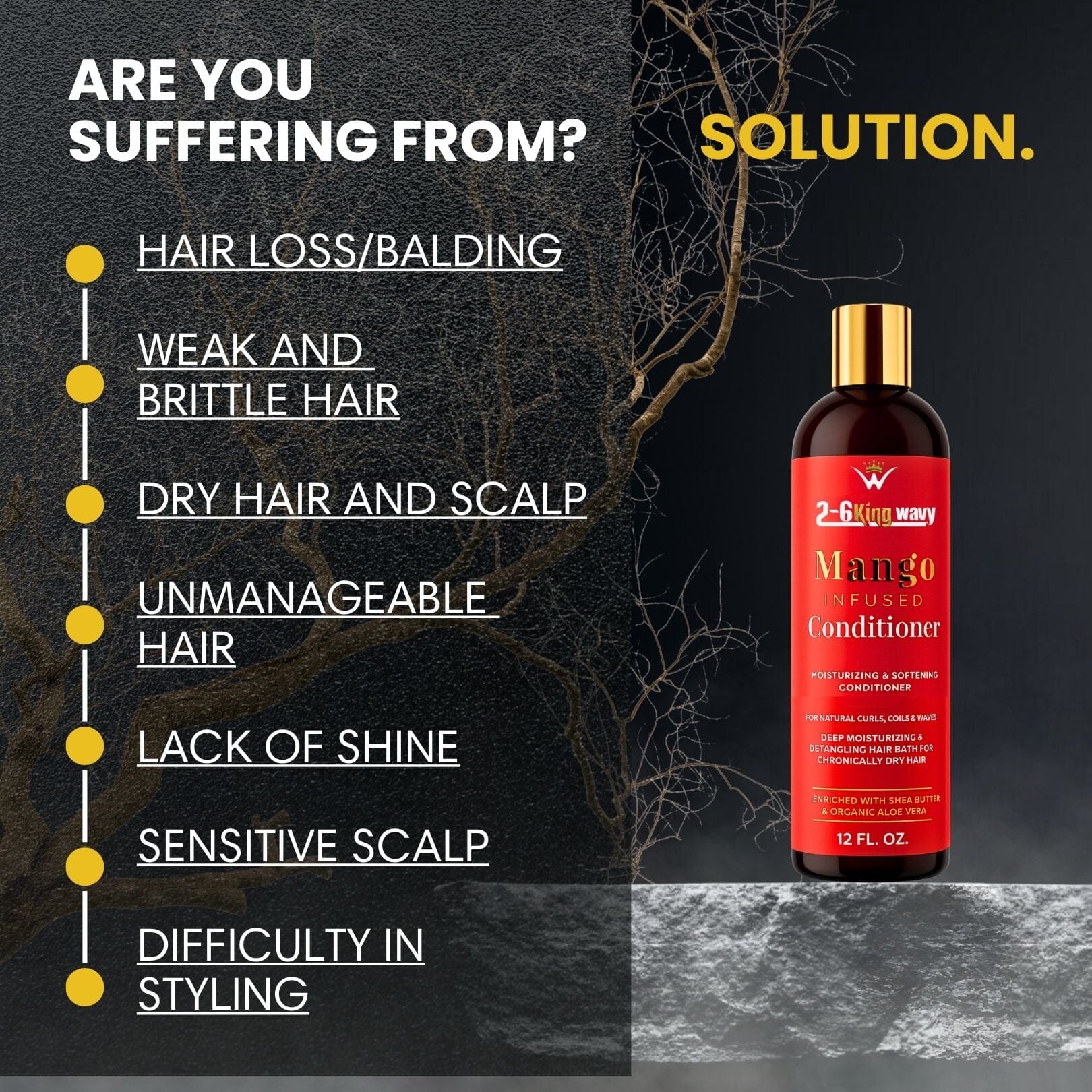 Mango Moisturizing Conditioner for Soft, Manageable Hair (Conditioner Bottle)