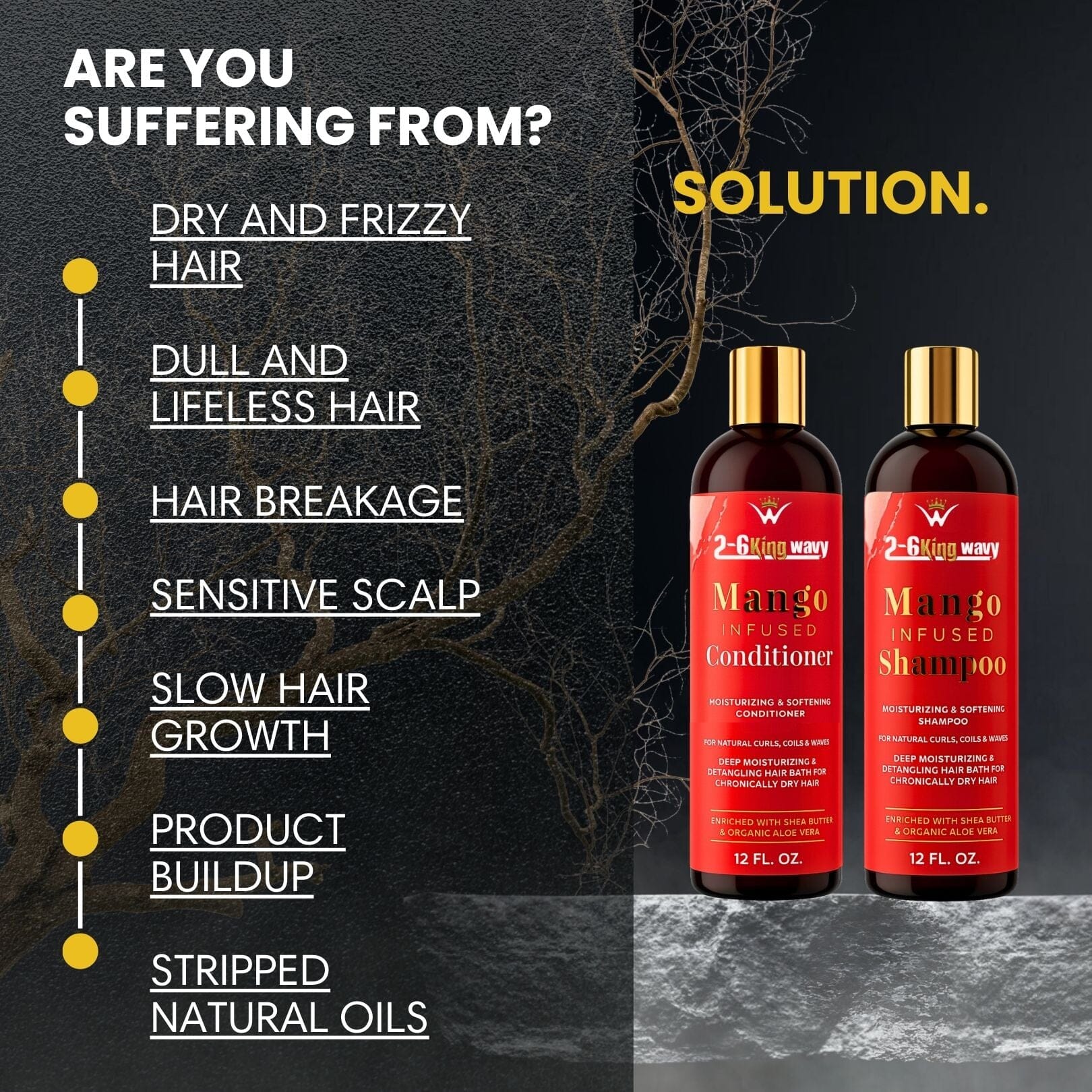 Mango Shampoo & Conditioner Duo for Dry Hair