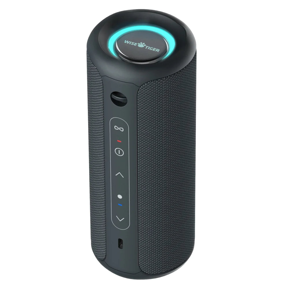 P3 Portable Bluetooth Speaker — 30W, IPX7 Waterproof, RGB Lights | Electronics Den