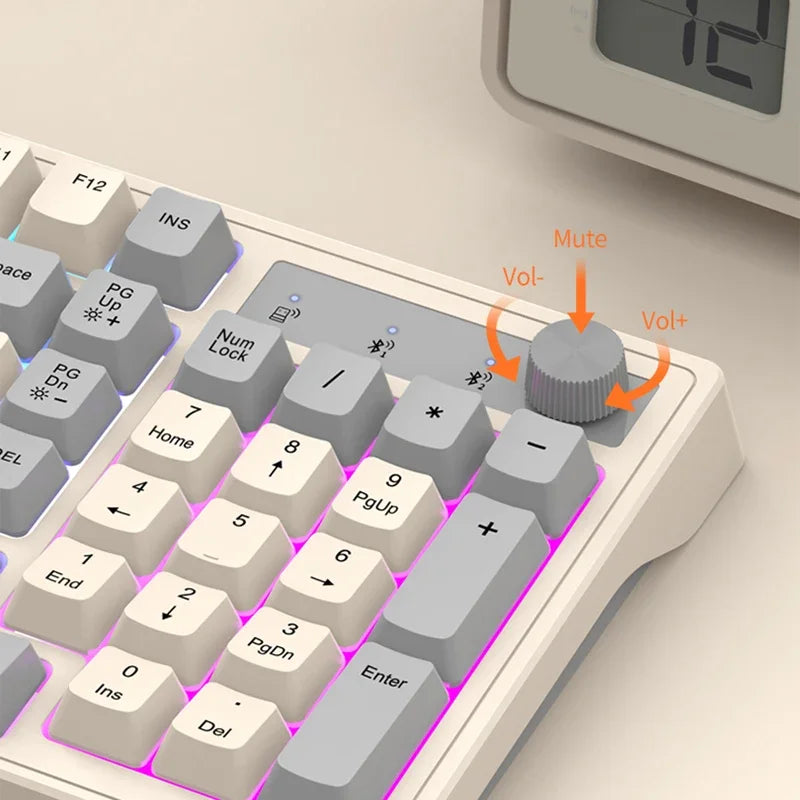 98-Key Wireless Keyboard — Bluetooth & 2.4G, Rainbow RGB Backlight | Electronics Den