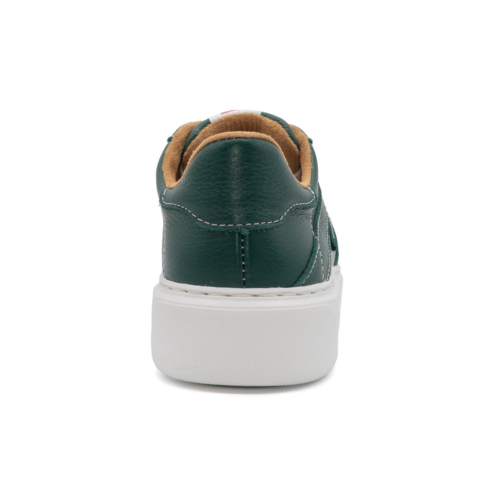 601 Solid | Forest