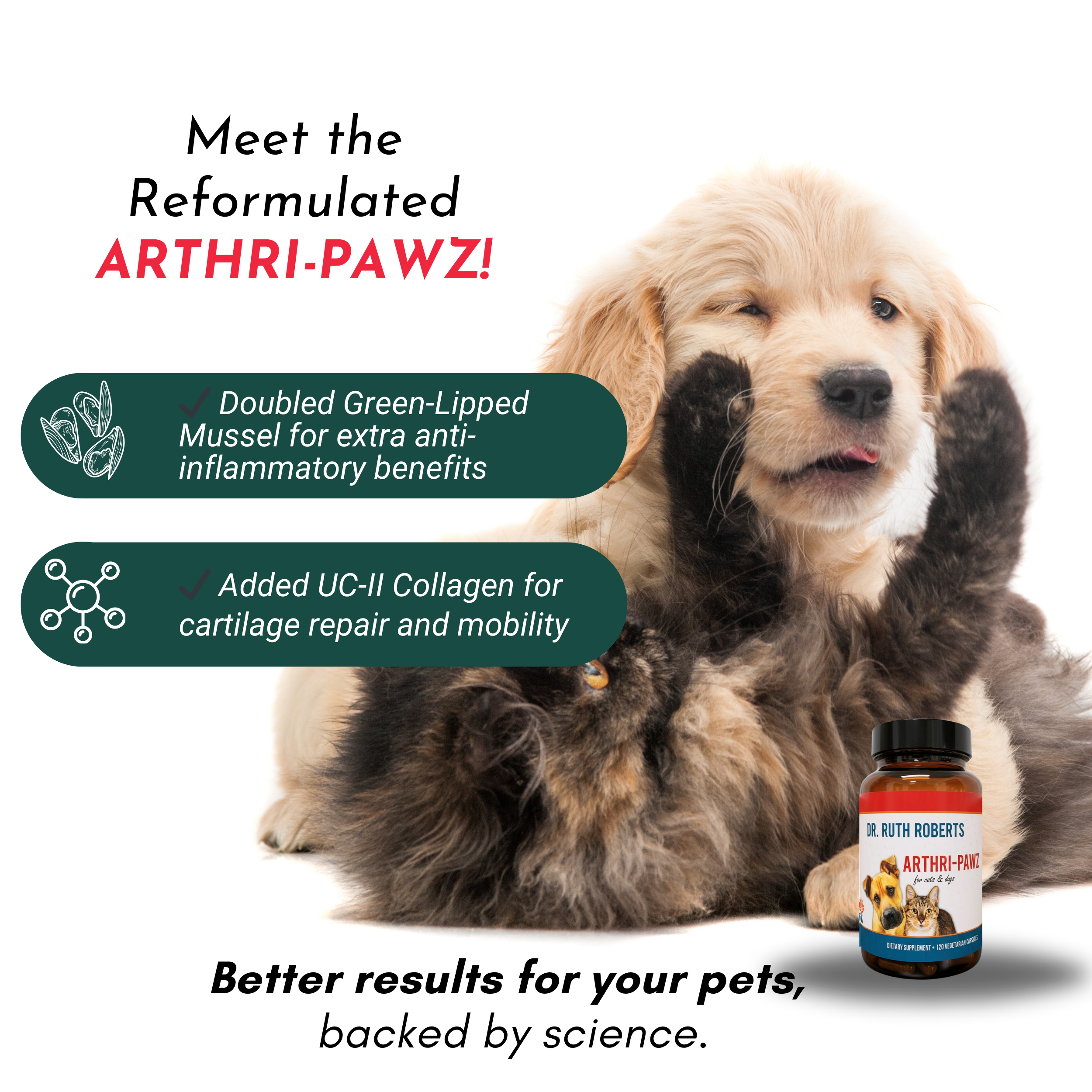 Arthri-Pawz — Glucosamine, MSM, Green-Lipped Mussel & UC-II Collagen for Dogs & Cats | Dr. Ruth Roberts