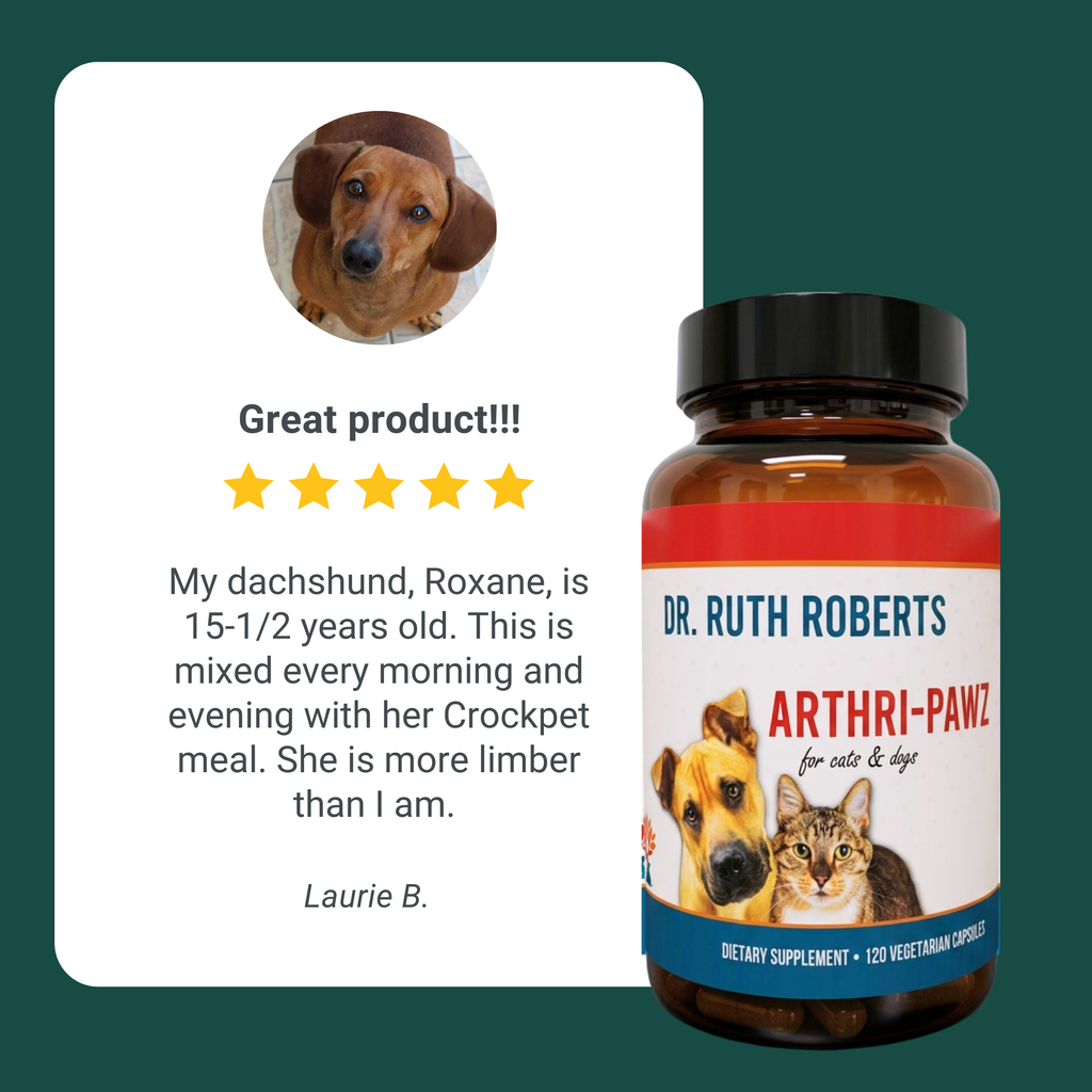 Arthri-Pawz — Glucosamine, MSM, Green-Lipped Mussel & UC-II Collagen for Dogs & Cats | Dr. Ruth Roberts
