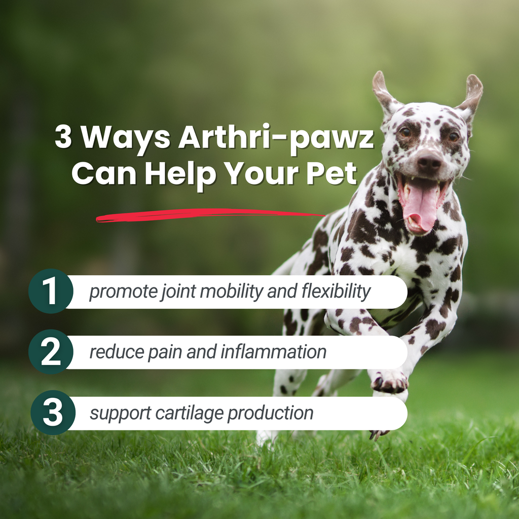 Arthri-Pawz — Glucosamine, MSM, Green-Lipped Mussel & UC-II Collagen for Dogs & Cats | Dr. Ruth Roberts