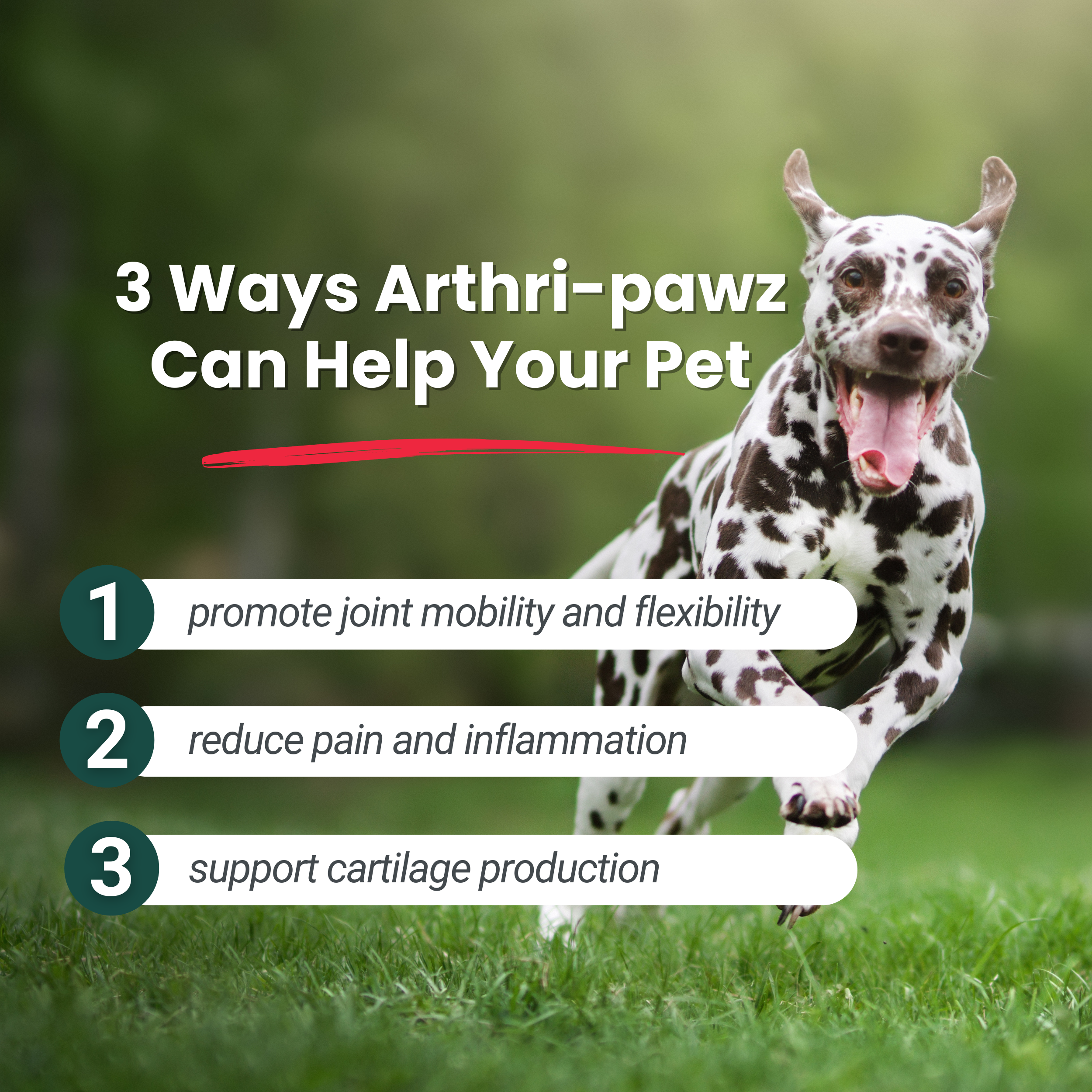 Arthri-Pawz — Glucosamine, MSM, Green-Lipped Mussel & UC-II Collagen for Dogs & Cats | Dr. Ruth Roberts