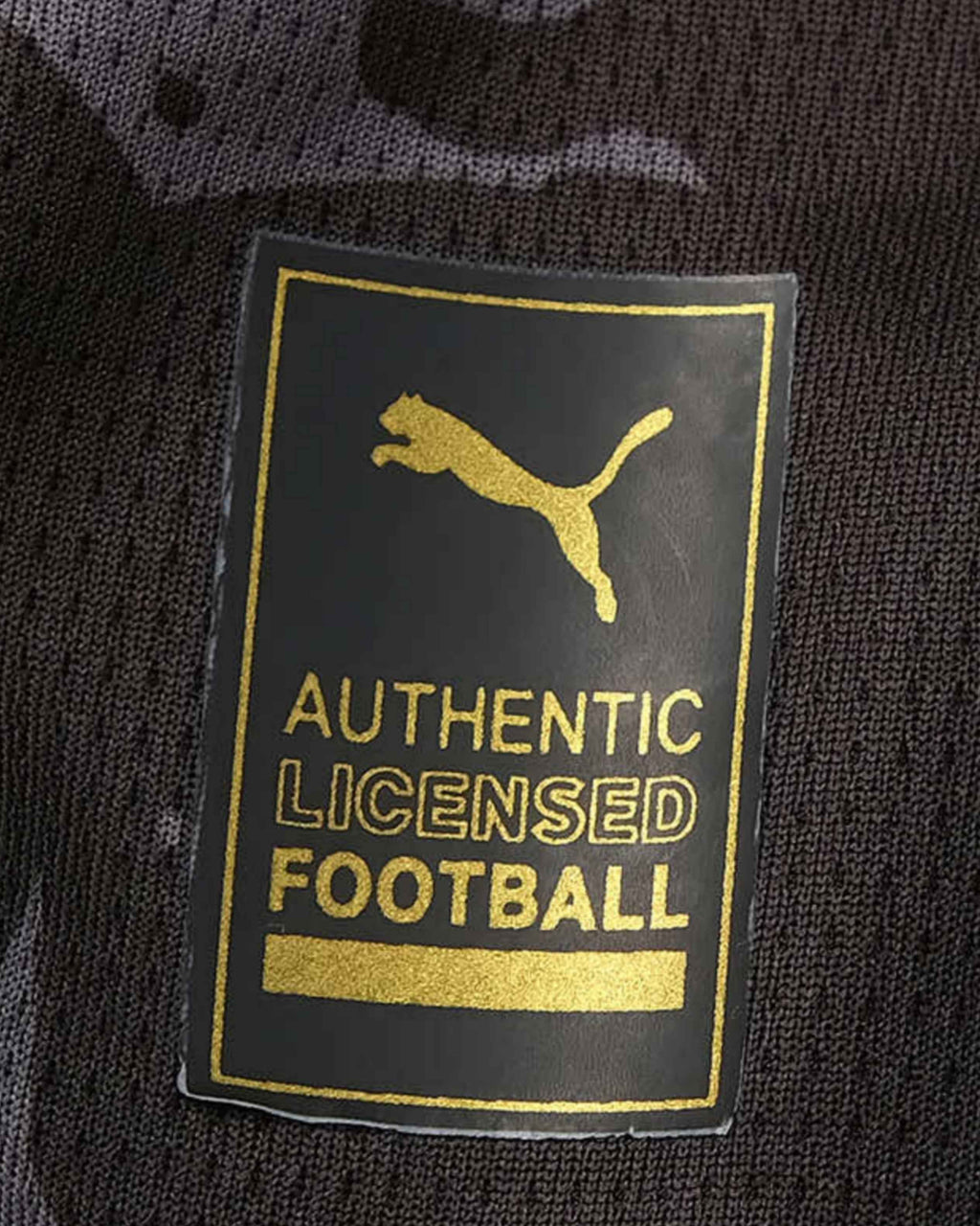 DORTMUND AWAY 2023/24