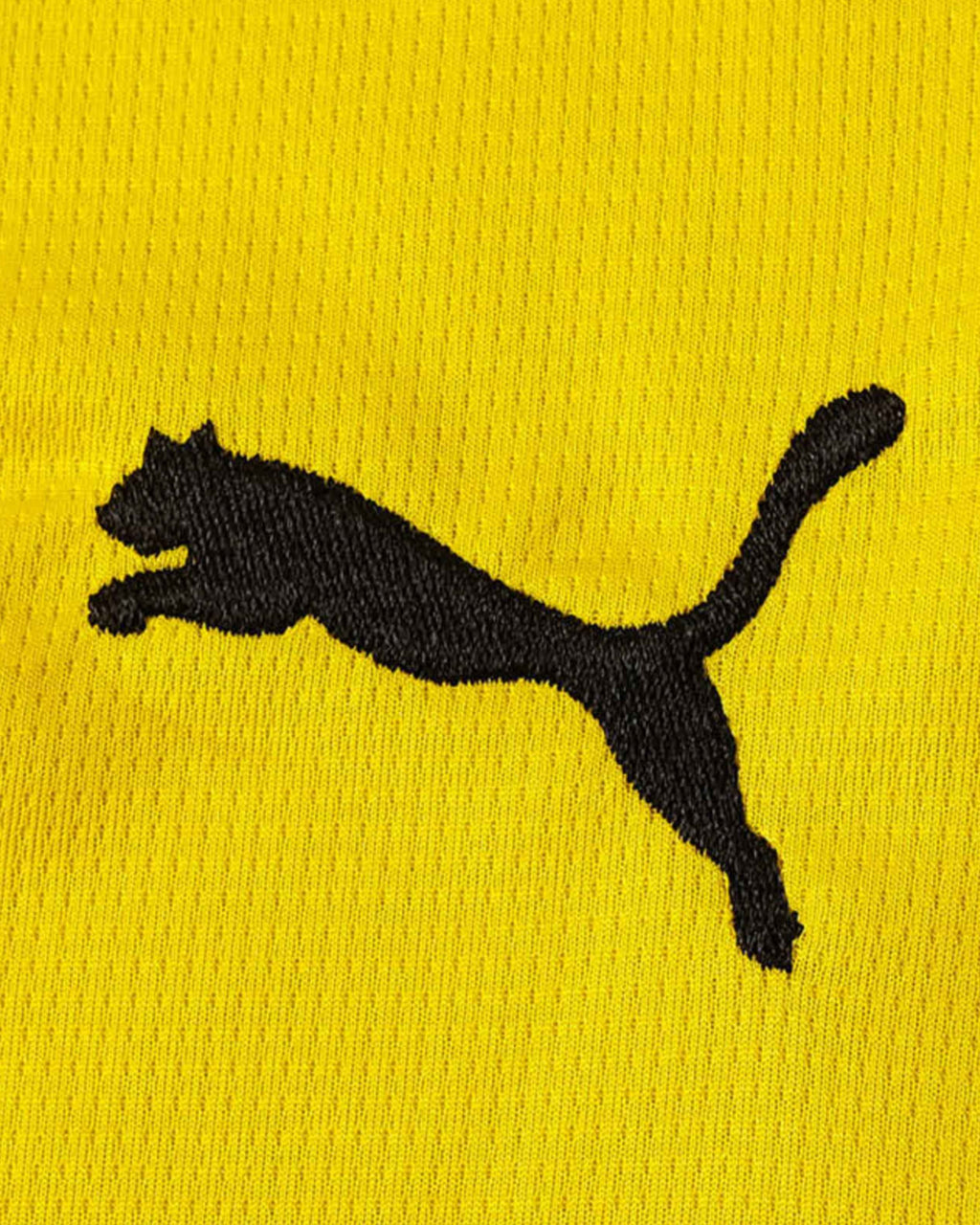 DORTMUND HOME 2023/24