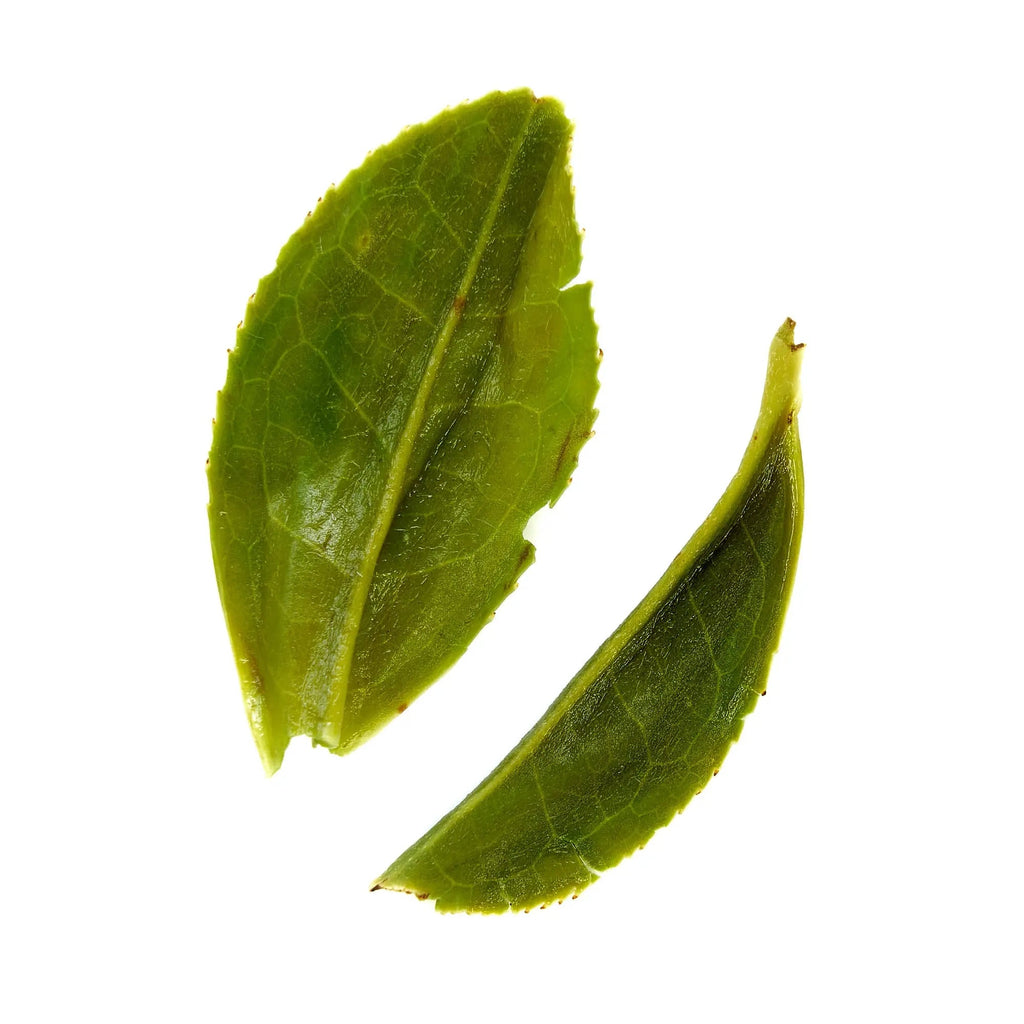 Rare Leaves Emerald — Single Estate Pi Lo Chun Organic Green Tea