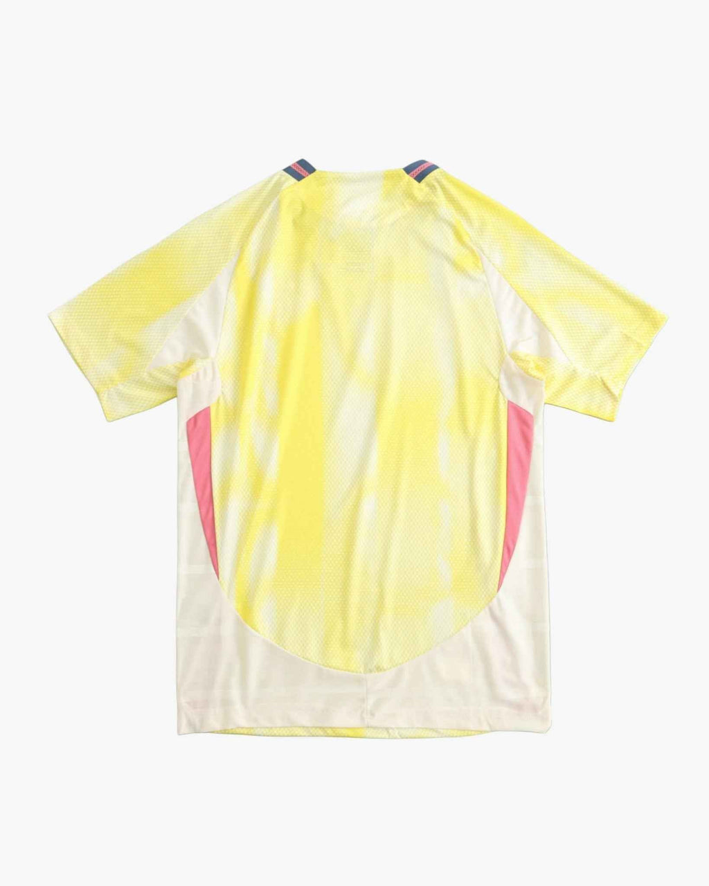 JUVENTUS AWAY 2024/25