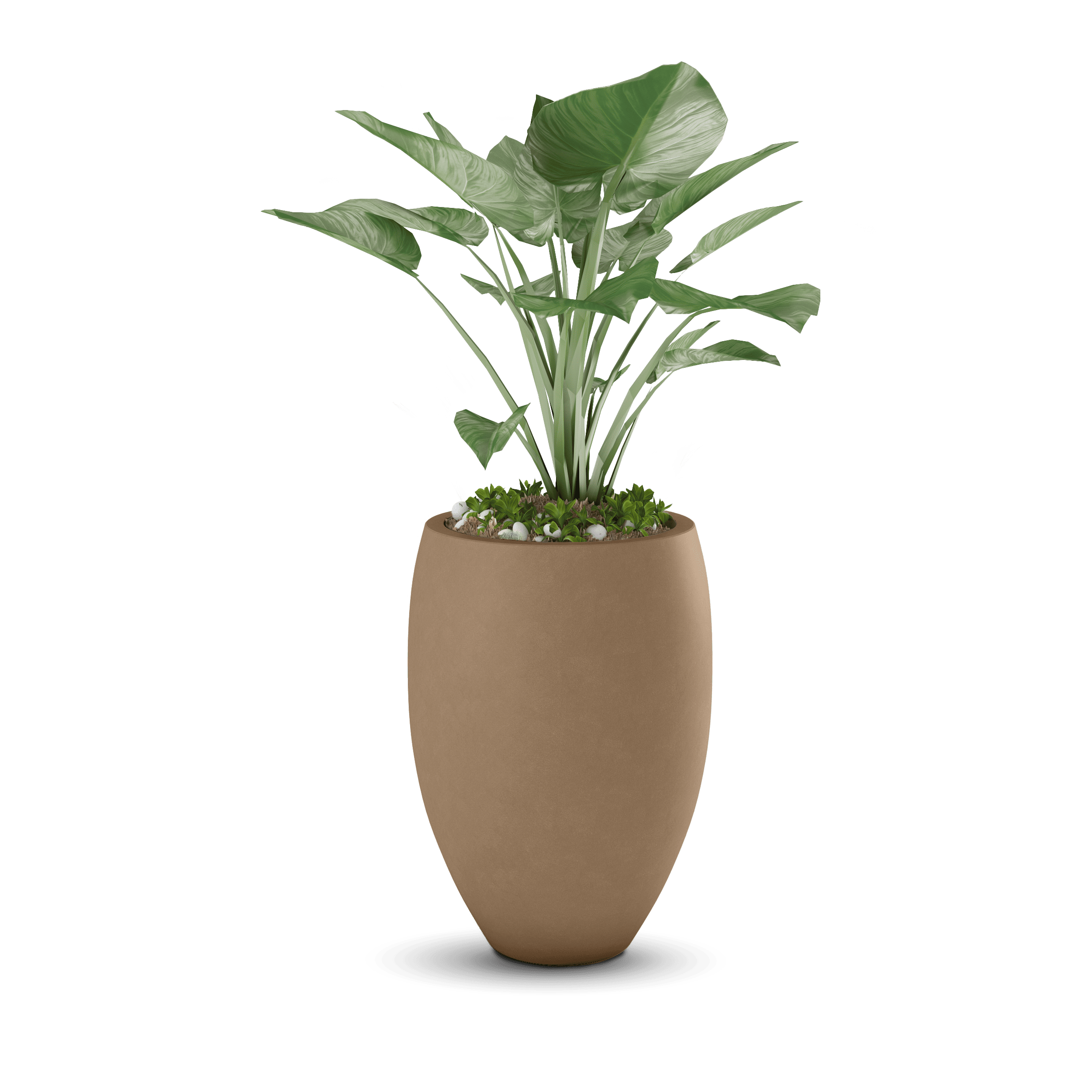 Brandy Planter