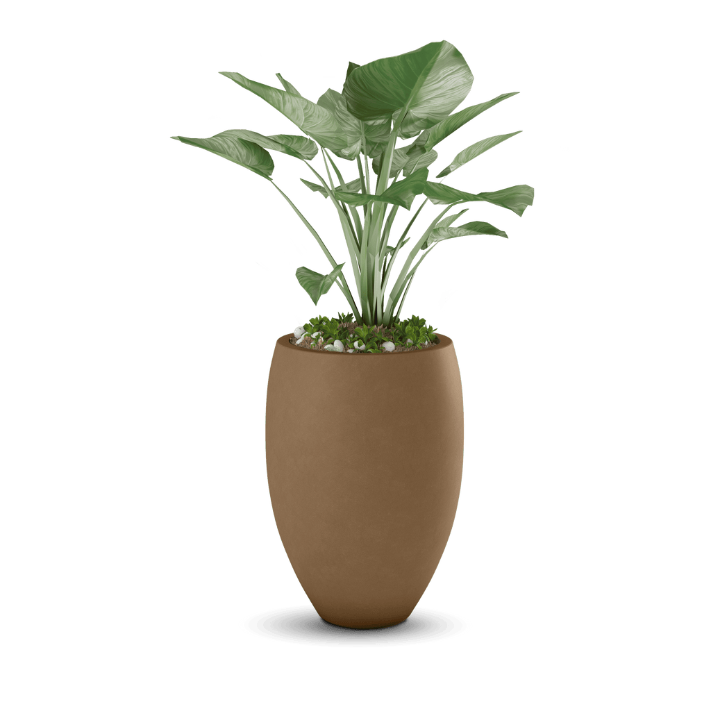 Brandy Planter