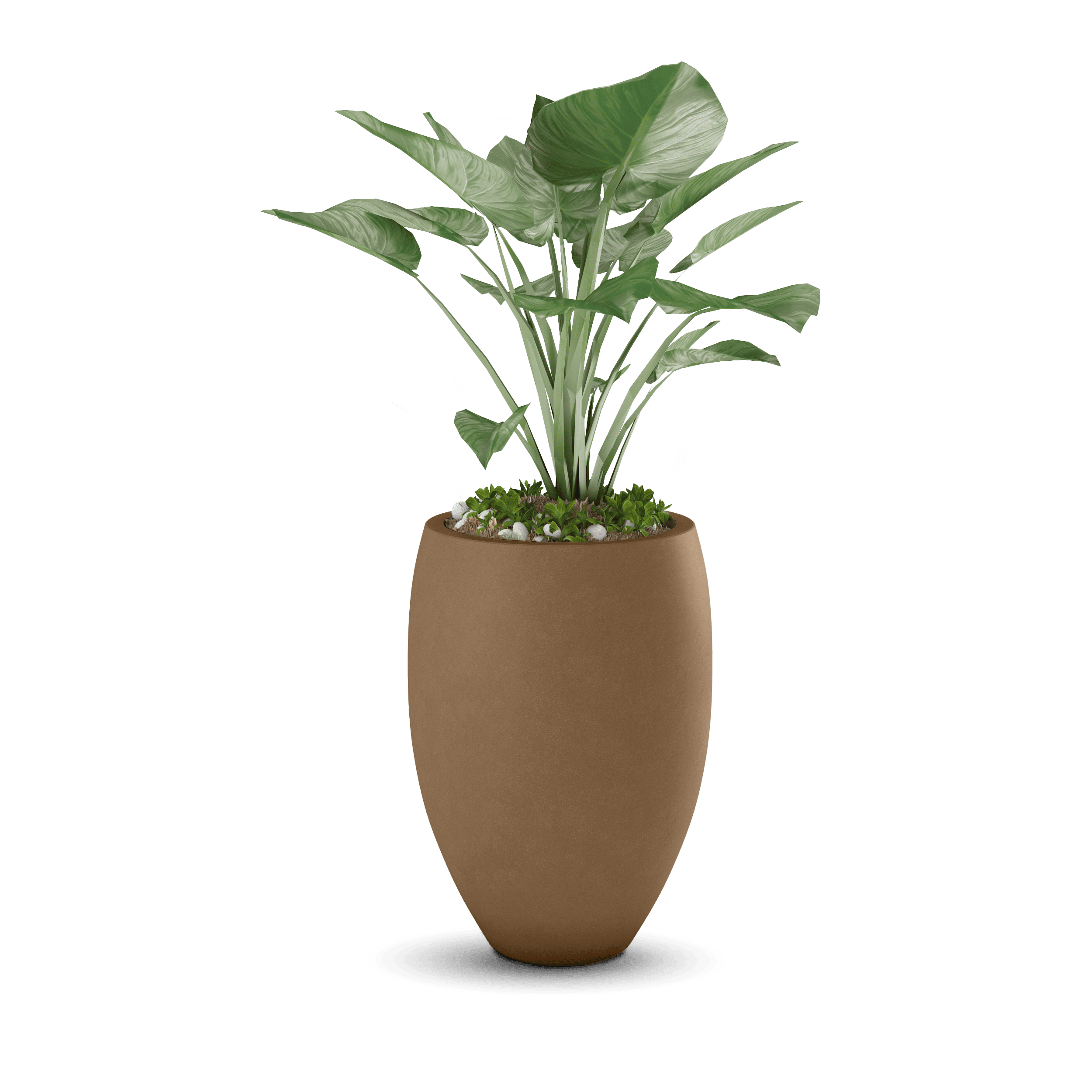 Brandy Planter
