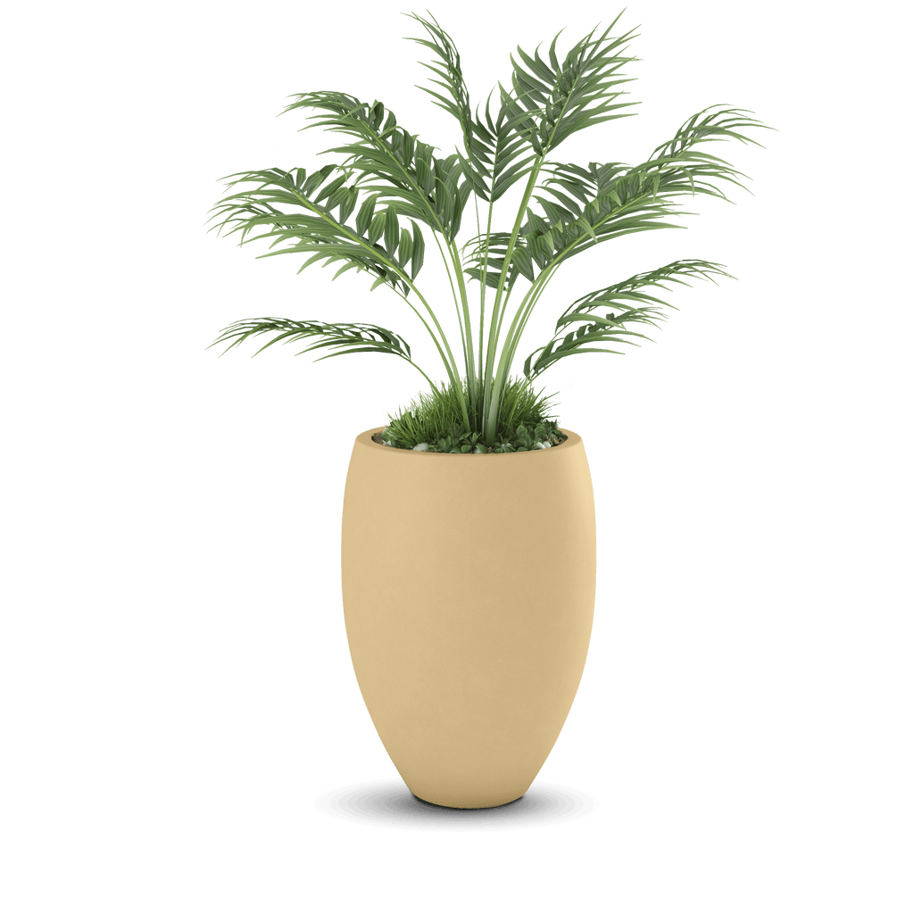 Brandy Planter