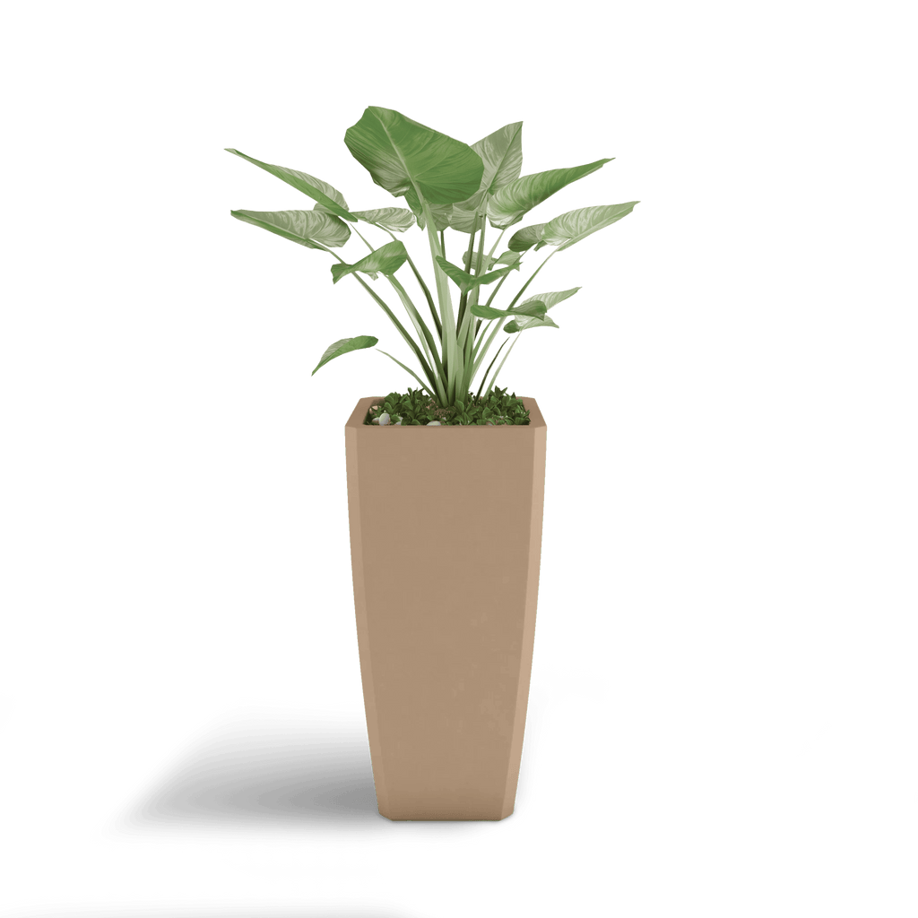 Quartet Planter