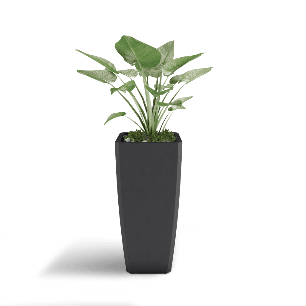 Quartet Planter