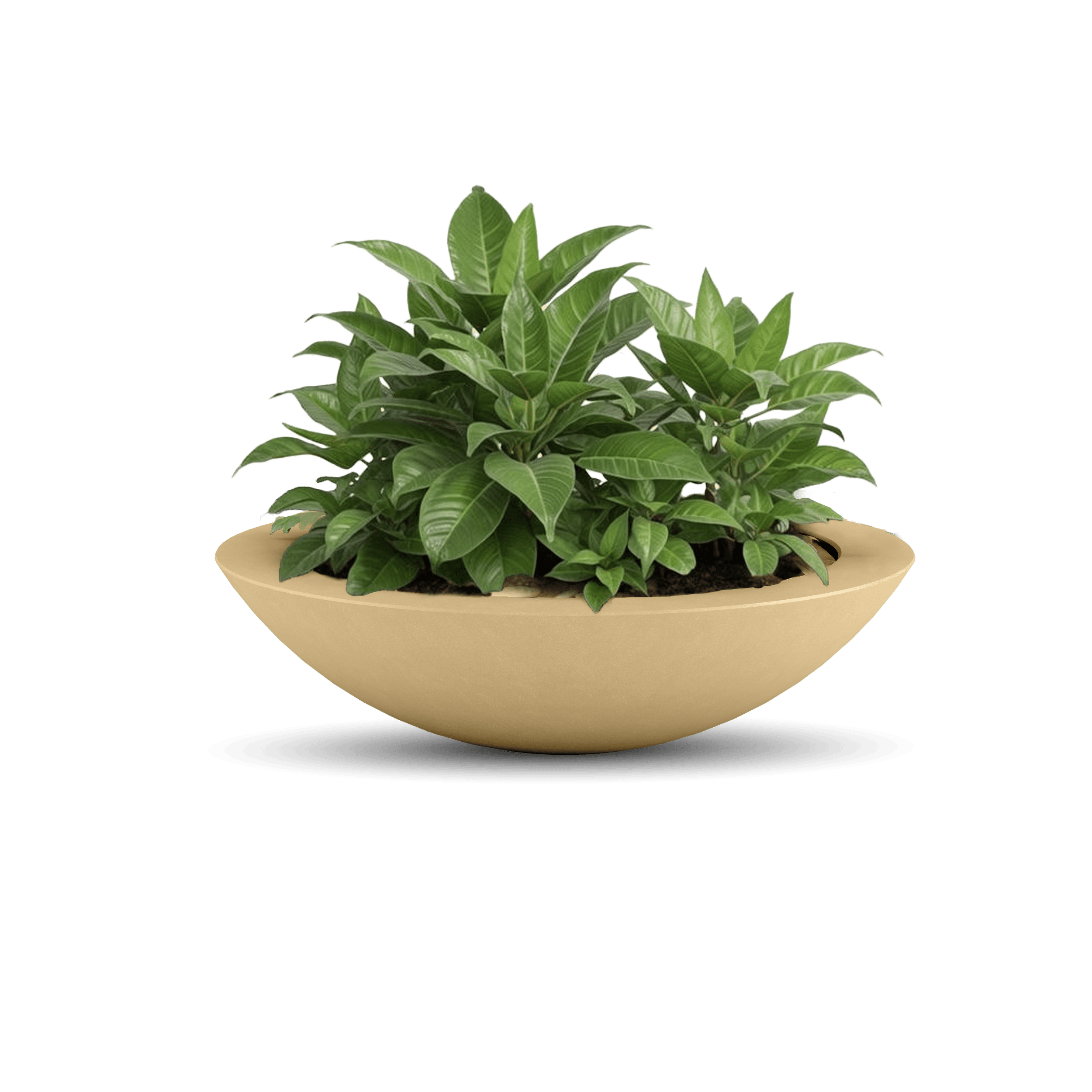 Oceanside Outdoor Shallow Planter